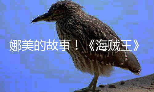 开传动事全V公的故贼王娜美女主海画P角外